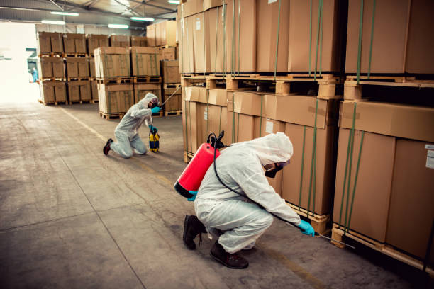Best Termite Control Services  in Adamsville, TN