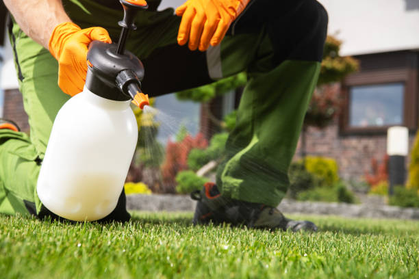 Best Residential Pest Control  in Adamsville, TN