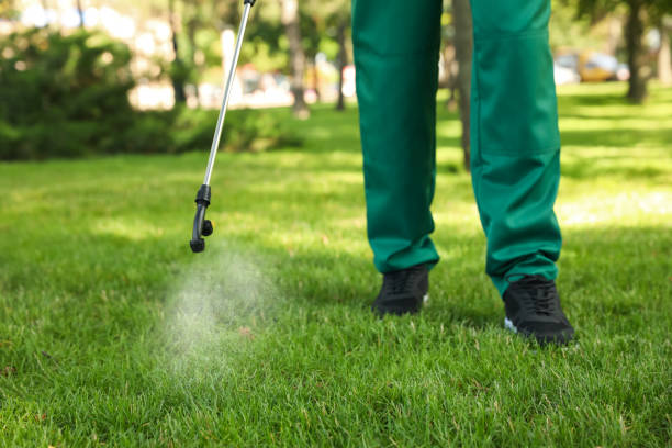 Best Residential Pest Control  in Adamsville, TN