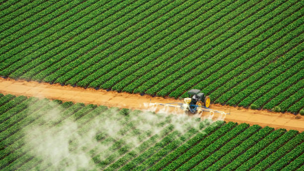 Best Pest Removal Services  in Adamsville, TN