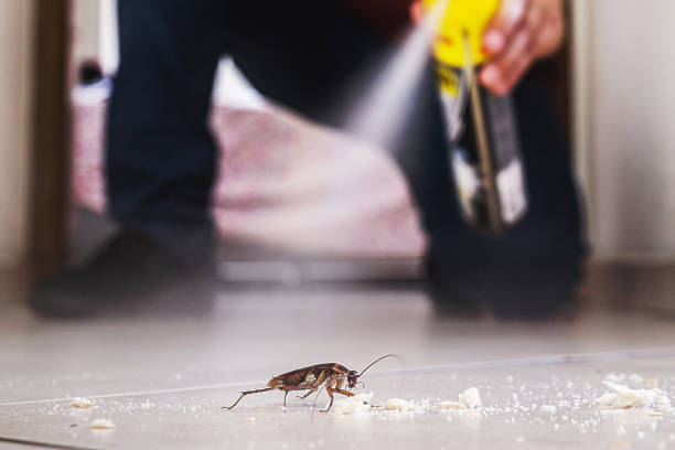 Trusted Adamsville, TN Pest Control Experts